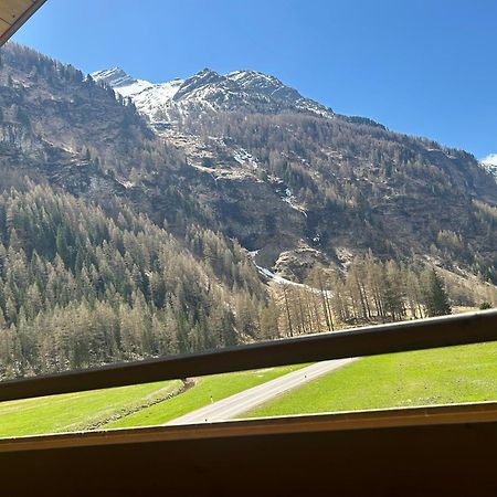 Feichterhof Daire Riva di Tures Dış mekan fotoğraf