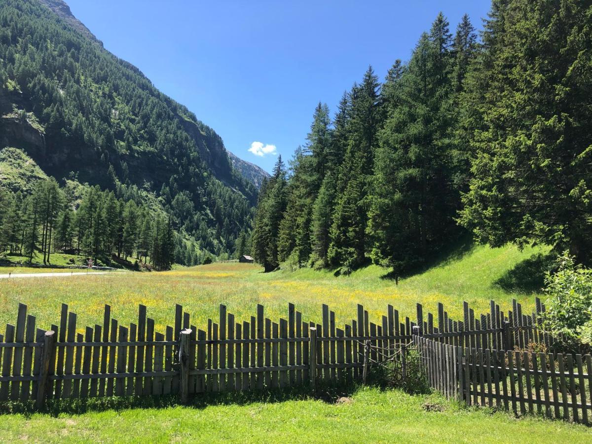 Feichterhof Daire Riva di Tures Dış mekan fotoğraf